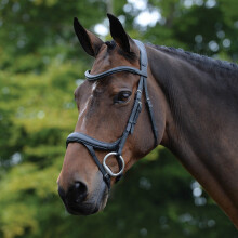 (Full, Black) Collegiate Comfitec Vogue Leather Horse Bridle