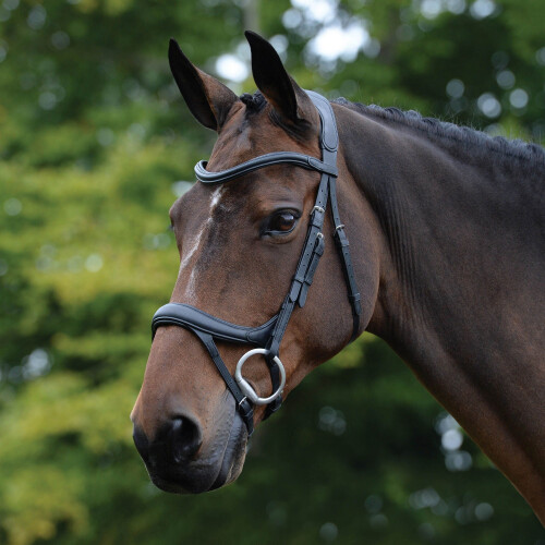 (Full, Black) Collegiate Comfitec Vogue Leather Horse Bridle