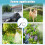 Electric Garden Sprayer Featuring a 3M Flexible Hose 6