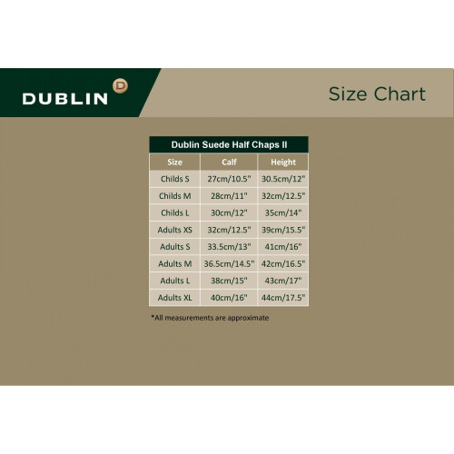 Dublin (Childs Medium, Black) Dublin Childrens/Kids Suede Half Chaps II 2