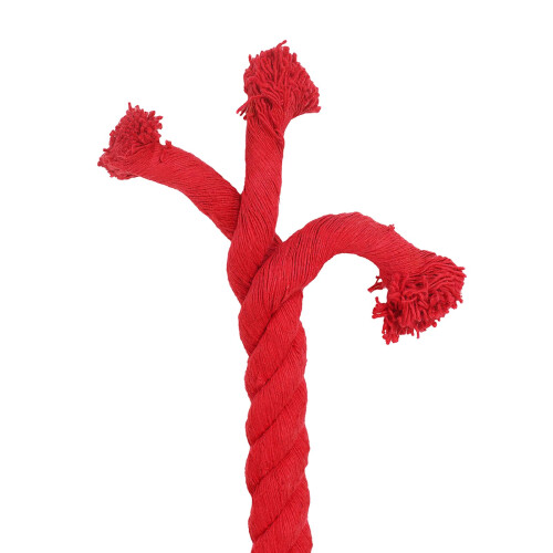 VidaXL vidaXL Baumwollseil 36 mm 10 m Rot 100% Baumwolle 2