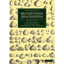British Fossil Brachiopoda Volume 1 by Thomas Davidson Paperback Book