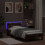 VidaXL vidaXL Bed Frame with LED Smoked Oak 80 x 200 cm Engineered Wood 3