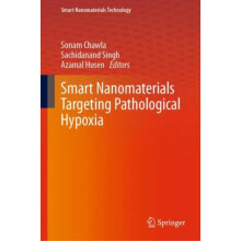 Smart Nanomaterials Targeting Pathological Hypoxia Hardcover Book
