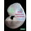 RNA Interference Technology From Basic Science to Drug Development Pap 1