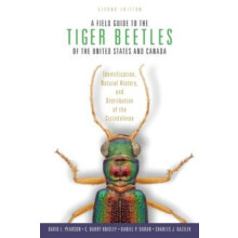Field Guide to the Tiger Beetles of the United States and Canada Ident