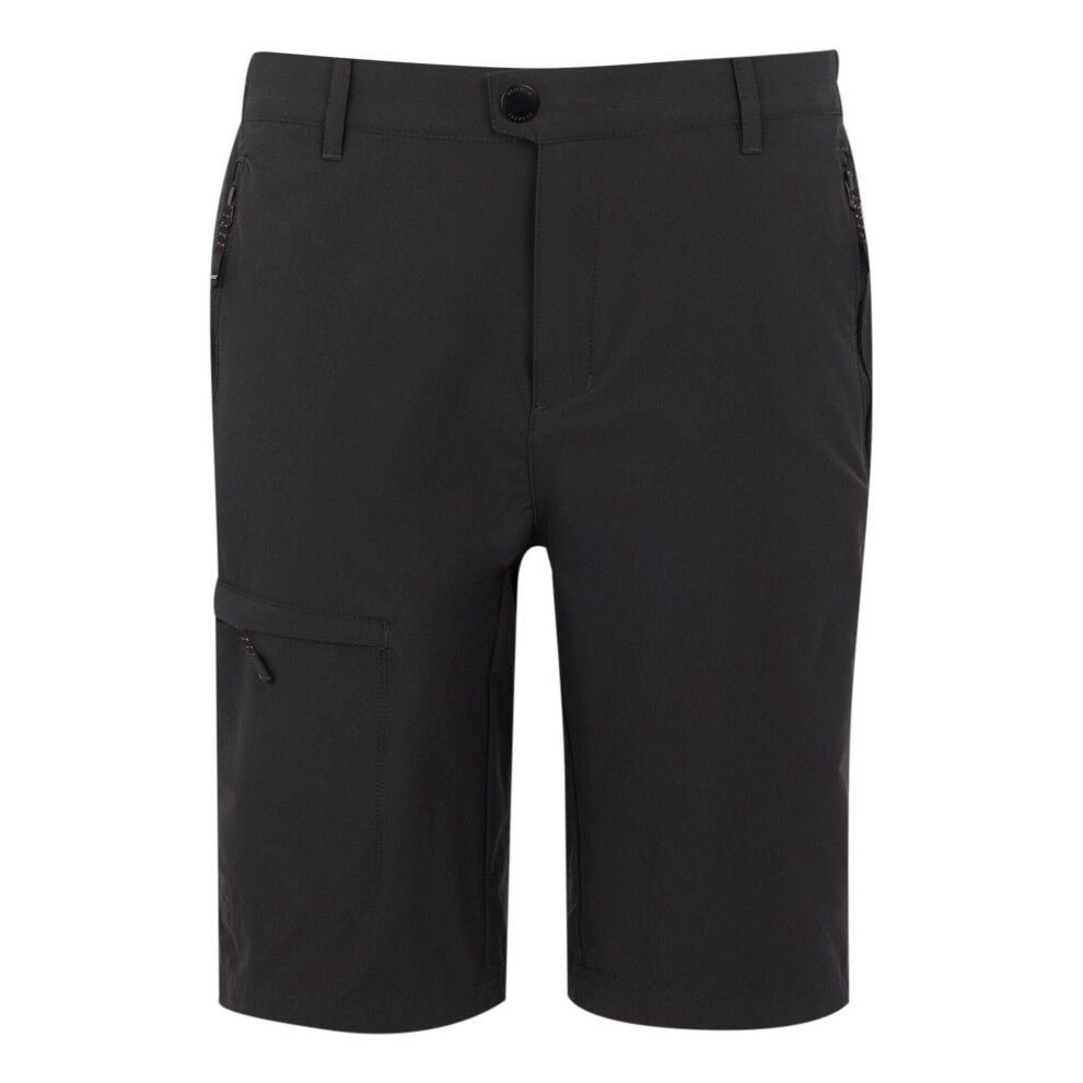 Regatta Mens Highton Ii Long Length Walking Casual Shorts