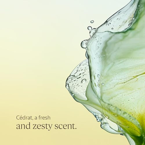 L'Occitane L'OCCITANE - Cédrat Eau de Toilette - 50 ml 2