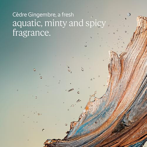 L'Occitane L'OCCITANE - Cèdre Gingembre Eau de Toilette - 50 ml 2