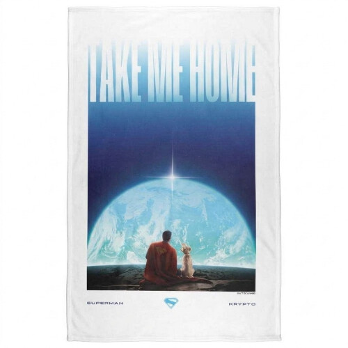 Superman (152cm x 127cm, Multicoloured) Superman Take Me Home Blanket