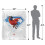 Superman (152cm x 127cm, Multicoloured) Superman Shield Lois Lane Blanket 6