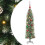 VidaXL vidaXL Artificial Slim Christmas Tree Green and White 120 cm 2