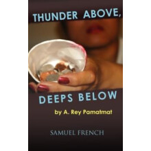 Thunder Above Deeps Below by A Rey Pamatmat Paperback Book