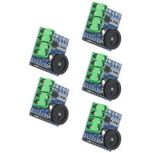 Energy Efficient 5V Stereo Amplifier Board for Outdoor Sound Application 5 pack