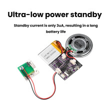 High Capacity MP3 Voice Module With Type C Port Plugs And Play Design for Button version