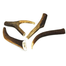 Classic Dog Chew Deer Antler - Large (100-150g, 13cm)