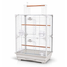 Little Friends High Perch Tall Top-Opening Bird Cage with Twin Perches