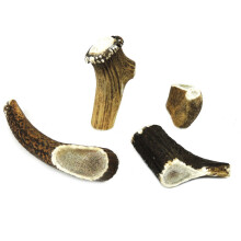 Classic Dog Chew Deer Antler - Medium (50-100g, 10cm)