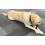 Classic Dog Chew Deer Antler - Medium (50-100g, 10cm) 2