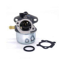 Carburateur compatibel met 498170 497586 498254 497314 voor thuisgebruik. Eenvoudig in gebruik.