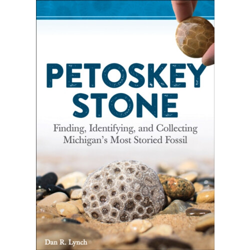 Petoskey Stone Finding Identifying and Collecting Michigans Most Stori
