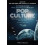 Introducing Philosophy Through Pop Culture by William Irwin Paperback 1