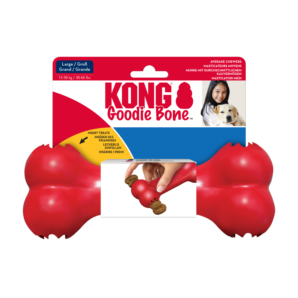 Kong Goodie Bone Large