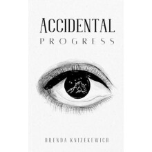 Accidental Progress by Brenda Knizekewich Paperback Book