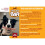 (Beef, 1Pk Large) Chewllagen BAR 3