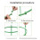 Flower Rack Support Frame Climbing Flower Rack Indoor Home Climbing Frame Dragon Fruit Green Radish Support Rod 8
