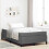 VidaXL vidaXL Boxspringbett Dunkelgrau 120 x 200 cm Stoff 1