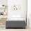 VidaXL vidaXL Boxspringbett Dunkelgrau 120 x 200 cm Stoff 3