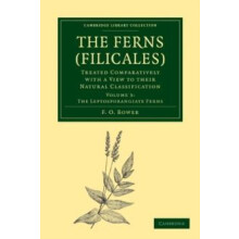 The Ferns Filicales Volume 3 the Leptosporangiate Ferns Treated Compar