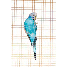 (0.6 x 0.6cm, Silver) Ambassador Cage & Aviary Welded Panel