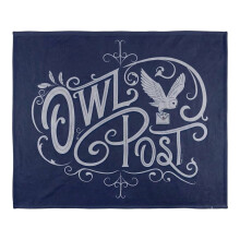 (147cm x 91cm, Multicoloured) Harry Potter Owl Post Blanket