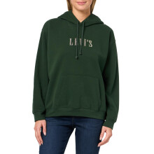 Levi's Dames Graphic Everyday Hoodie, (Nieuw) Rhinestone Serif Logo Mountain View, Groot