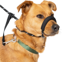Total Pet Figure of 8 Dog Lead Flat Anti Pull Stop Dogs Pulling Slip Leads
