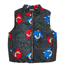 (8-9 Years, Black) Sonic The Hedgehog Childrens/Kids Gilet