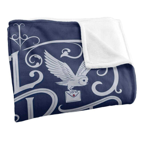 Harry Potter (152cm x 127cm, Multicoloured) Harry Potter Owl Post Blanket 1