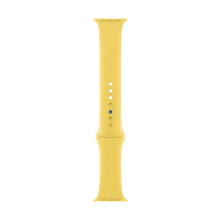 Correa de Apple Watch - Correa Deportiva (44mm) - Jengibre - Regular