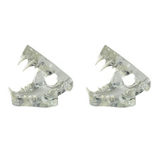2X Transparente Eckzahnzähne, Anatomisches Modell, Zahntiere, Mundzahnkiefer für Tierärztliches Lehrmittel (Katze)