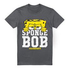 (4XL, Charcoal) SpongeBob SquarePants Unisex Adult Large Icon T-Shirt
