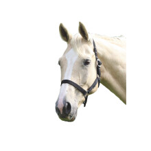 (Pony, Black) Wessex Horse Headcollar