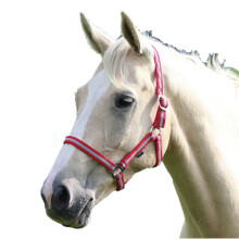 (Full, Red/Silver) Wessex Horse Headcollar