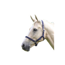 (Cob, Navy) Wessex Horse Headcollar