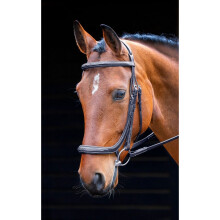 (X Full, Black) Salisbury Berkeley Leather Horse Bridle