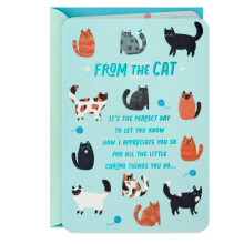 Carte Hallmark Maman Chat (Content d'avoir adopté) pour la Fête des Mères, Anniversaire, Journée d'Adoption