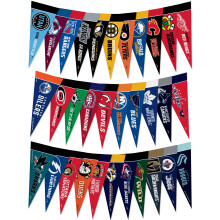 Rico Industries NHL Hockey Compleet 4" x 9" Vilt Mini Pennant Set (Inclusief ALLE Teams)
