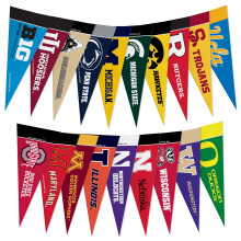 Rico Industries NCAA Big Ten 4" x 9" Mini Pennant Set (Alle Teams)