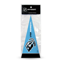 Rico Industries NHL Hockey Utah Mammoth Standard 4" x 9" Mini Pennant Set (8 delar)